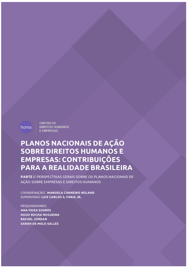 Planos Nacionais de Ação Sobre Direitos Humanos e Empresas: Contribuições para a Realidade Brasileira | Perspectivas Gerais